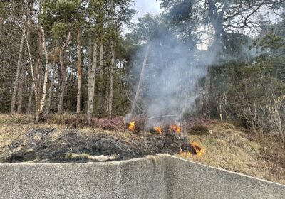Brand Wiese im Bereich Friedhof