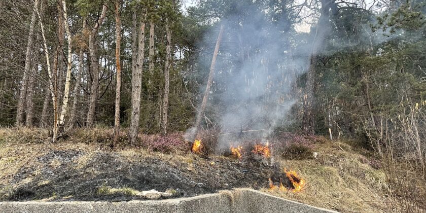 Brand Wiese im Bereich Friedhof