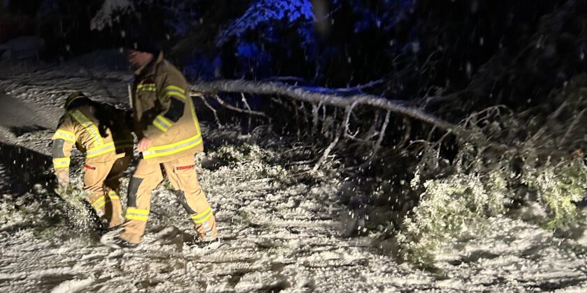 Umgestürzter Baum durch Schnee auf der B171