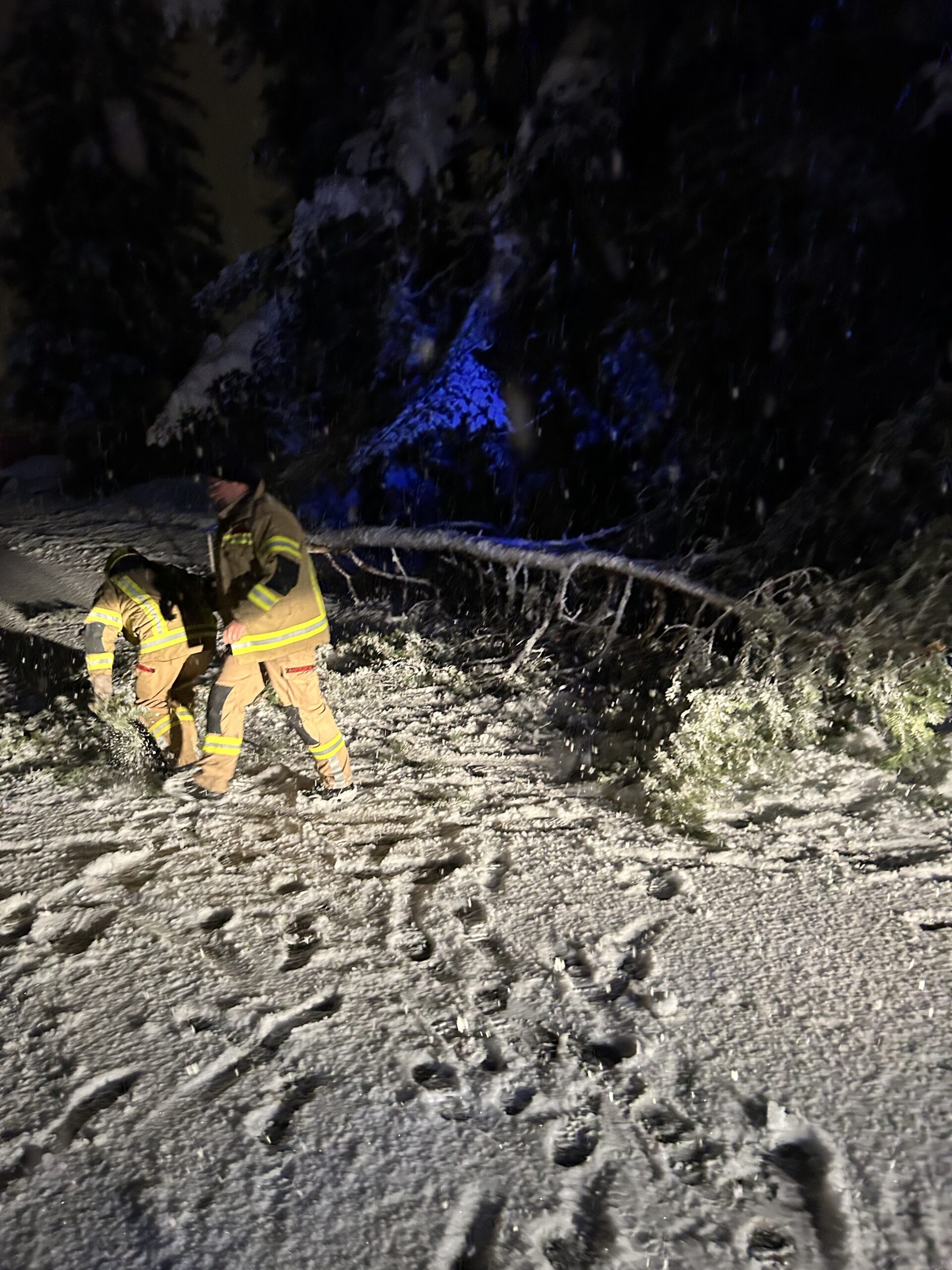 Umgestürzter Baum durch Schnee auf der B171