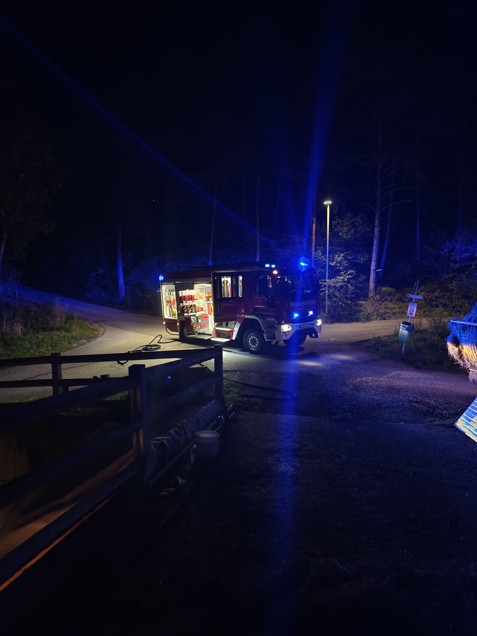Elektrobrand Deckenlampe Stall