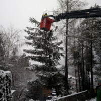 Baum drohte umzustürzen im Unterrain